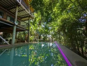 TreeTops by the Sea - Mena Creek