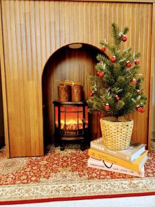 BB Stay Hongdae 외국인 전용 숙소