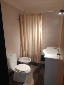 Pleno Centro, departamento con vista al lago