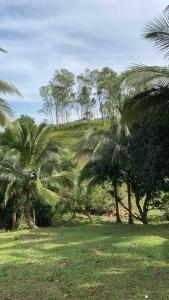 Staycation Bungalow at a Mountain Farm in Bataan