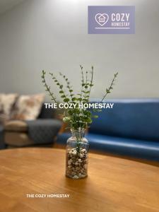 The Cozy Homestay @ Tabuan Jaya