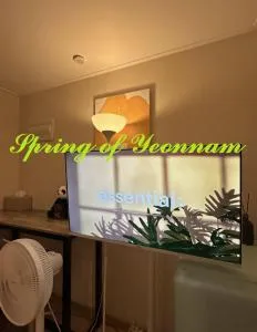Yeonanm Spring - Seul