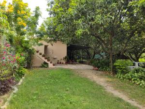 Corbett Green Orchard