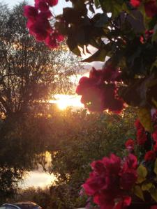 Zakątek nad jeziorem Ełk