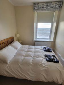 Stunning Aberystwyth South Beach Apartment
