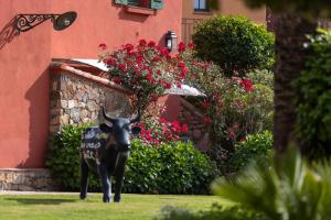 Hotels La Signoria : photos des chambres