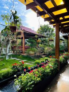 Vườn Trà HomeStay Măng Đen