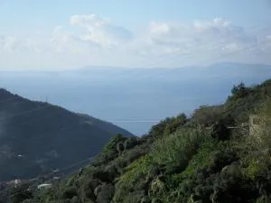 Casa Vacanza Puntaferano - 维克艾库塞