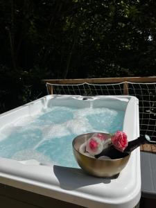 Appartements Le Nid d'Eliyah, suites avec jacuzzi 15min Disneyland Paris : photos des chambres