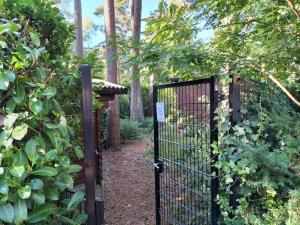 Het Vijverhuisje - Recreation only