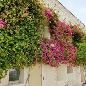 Apartamento Convento das Bernadas Tavira