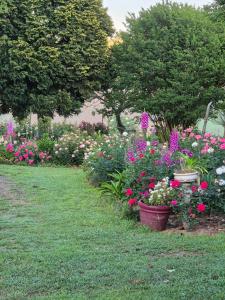 Piccadilly Farm Cottages