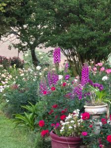 Piccadilly Farm Cottages