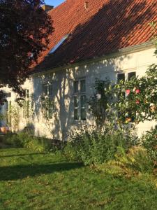 Lejlighed i landlige omgivelser