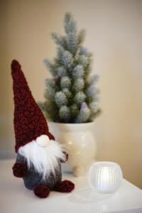 Northern Comfort Sauna Suite