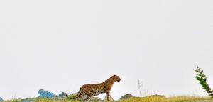 Deogarh Hills A Village Experience Property