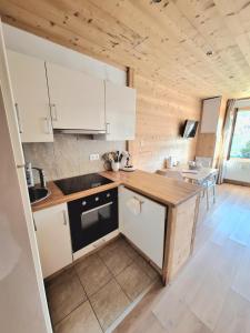T2 cosy avec très belle vue à 400m des pistes