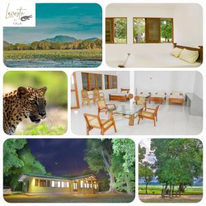 Lacoste By Yala Forest Bungalow