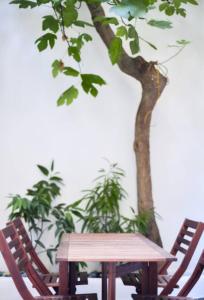 Fig Tree Patio Exarcheia