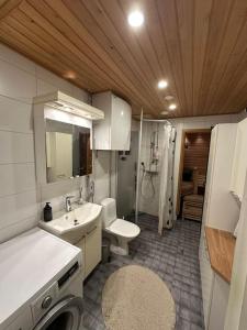 Modern city apartment Rovaniemi