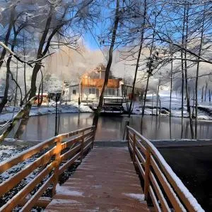Pensiunea Eurosan Codrii Vlasinului - Valea Drăganului