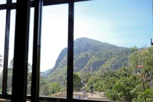 Oak Ray La Ella Breeze