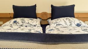 ski bike and hike Leogang