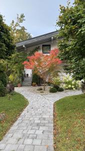 ski bike and hike Leogang