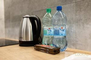 Slovianka Modern Studio by LookAp - sauna oraz darmowy parking!!