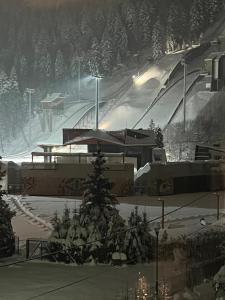 Apartament na 102 - z widokiem na skocznię narciarską, serwis i wypożyczalnia nart na miejscu -20procent dla gości