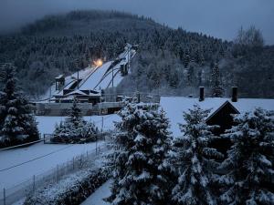 Apartament na 102 - z widokiem na skocznię narciarską, serwis i wypożyczalnia nart na miejscu -20procent dla gości