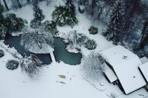 Maisons de vacances Studio en pleine nature avec Balneo proche du Lac : photos des chambres