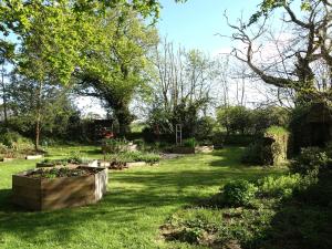 Maisons de vacances Gite Marguerite - Maison avec jardin de 3500m2 : photos des chambres