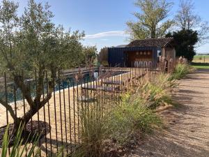 Maisons de vacances Gite de charme et spa pres d'Albi , Au Mas de Bel Air : photos des chambres