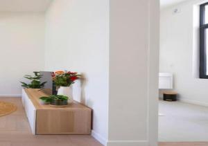 Elegant Escape in hartje Zuid