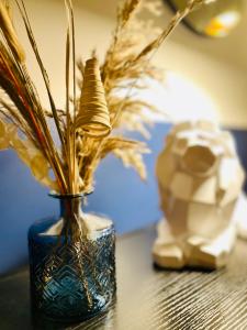 201 - Appartement confortable face à la Maison du Peuple