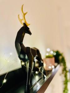 201 - Appartement confortable face à la Maison du Peuple