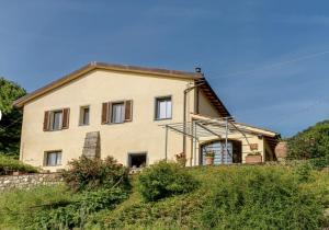 Villa Porcigliano Olive Grove