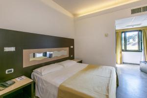 Double Room room in Hotel Boomerang Roma