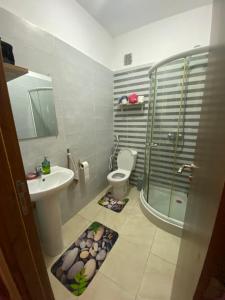 Residences les palmiers 11