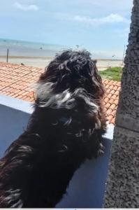 Casa de Praia, na beira da praia