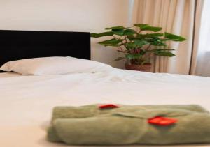 Magic in the Heart of Antwerp!