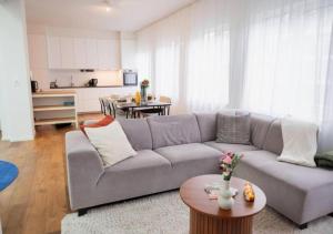 Magic in the Heart of Antwerp!