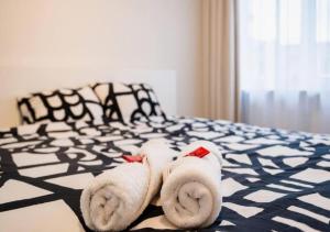 Magic in the Heart of Antwerp!