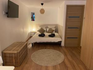 Appartements Studio Obernai Centre : photos des chambres