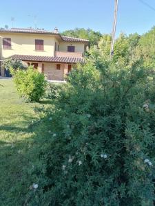 il boschetto da Tiziana