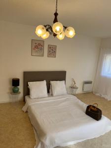 Appart Saint vallier