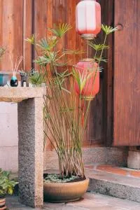 新龍頭古厝本館 Shin Long Tou B&B - Lin-ts'o