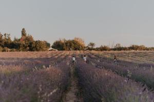 Appartements TERRE UGO - Studio campagne Aixoise #6 : photos des chambres