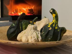 ZiMo Taliándörögdi MoZiHáz